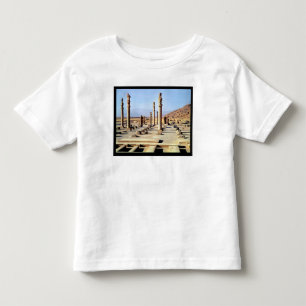 General view of the Apadana  founded c.518 BC Toddler T-Shirt