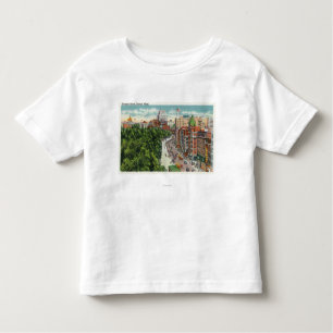 General View of Tremont Street Toddler T-Shirt