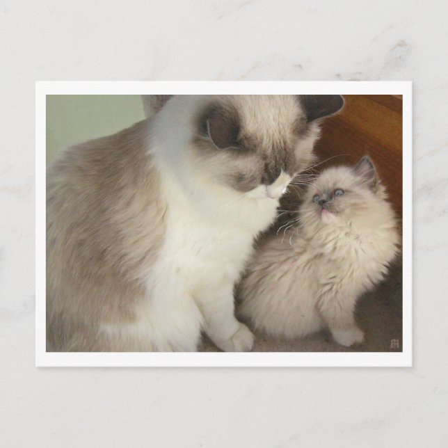 Generations Postcard (Front)