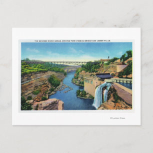 Genesee River Gorge, Park Avenue Bridge Postcard