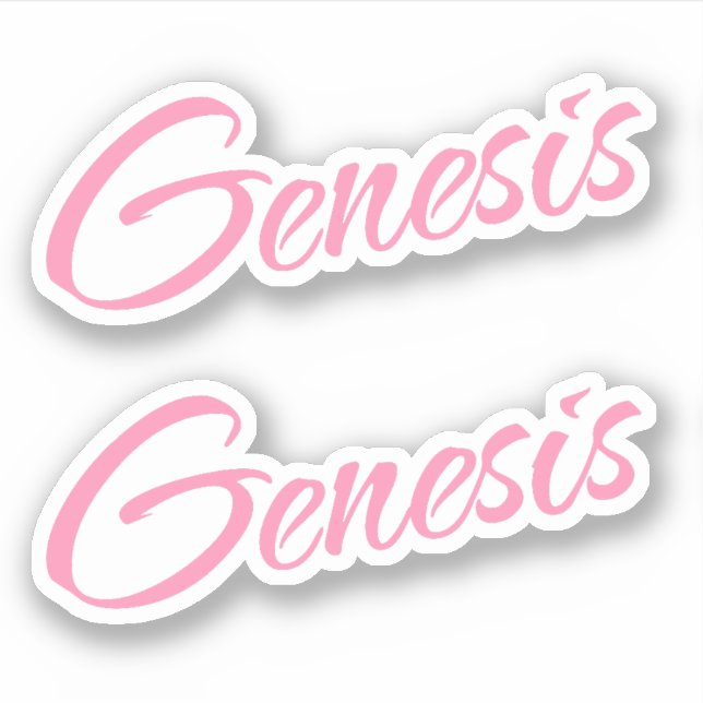Genesis Decorative Name in Pink x2 Sticker (Front)