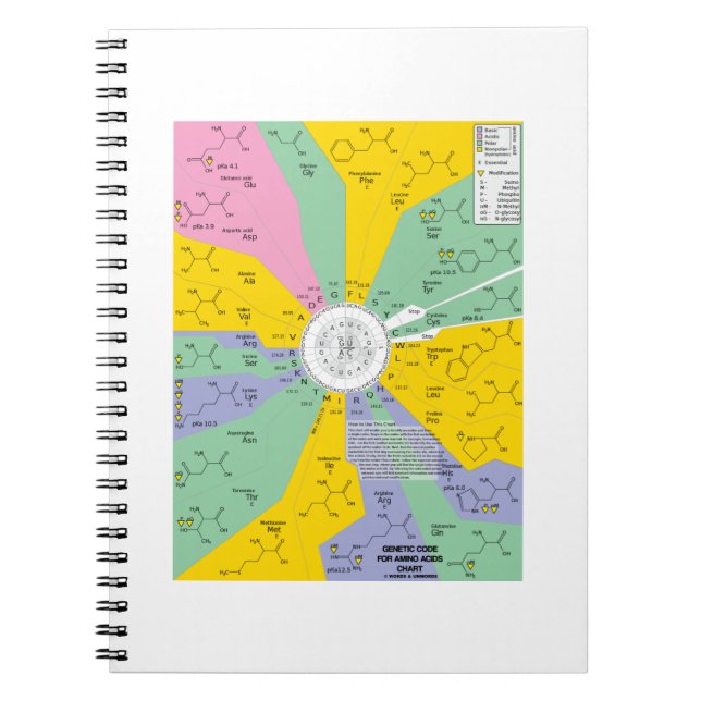 Genetic Code For Amino Acids (Chart Wheel) Notebook (Front)