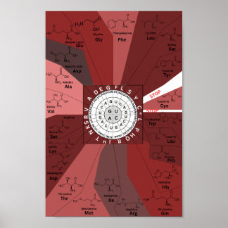 Genetic codon chart wheel of amino acids in brown