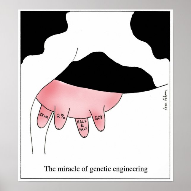 Genetic Engineering Cow GMO Udder Cartoon Poster (Front)