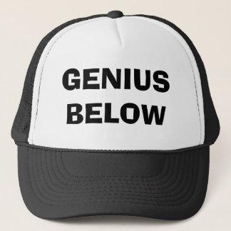 GENIUS BELOW TRUCKER HAT