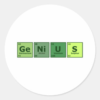 Genius Classic Round Sticker