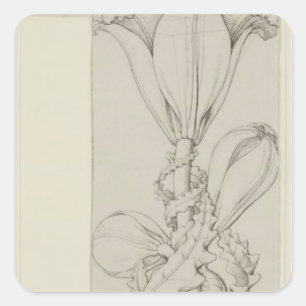 Genius of the Lily, 1809 Square Sticker