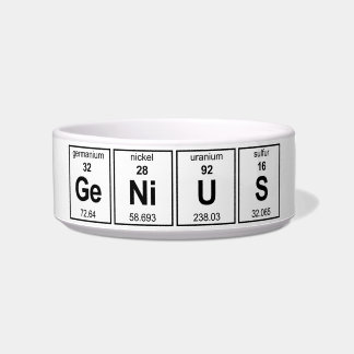 GeNiUS Periodic Table Bowl