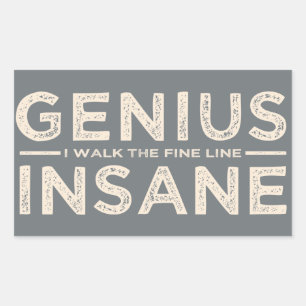 GENIUS VS INSANE custom stickers