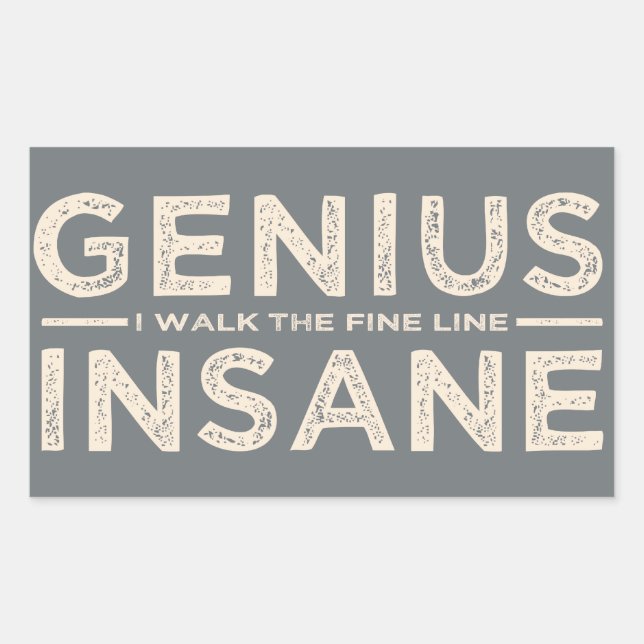 GENIUS VS INSANE custom stickers (Front)