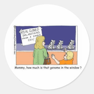 Genome In The Window Funny Dalmatian Gifts & Tees Classic Round Sticker