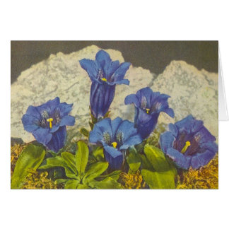 Gentian Flower