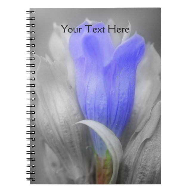 Gentian Flower In Black And White Notebook (Front)