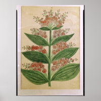 Gentian with imaginary flowers