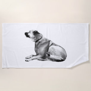 Gentle Alpine Calm Beach Towel