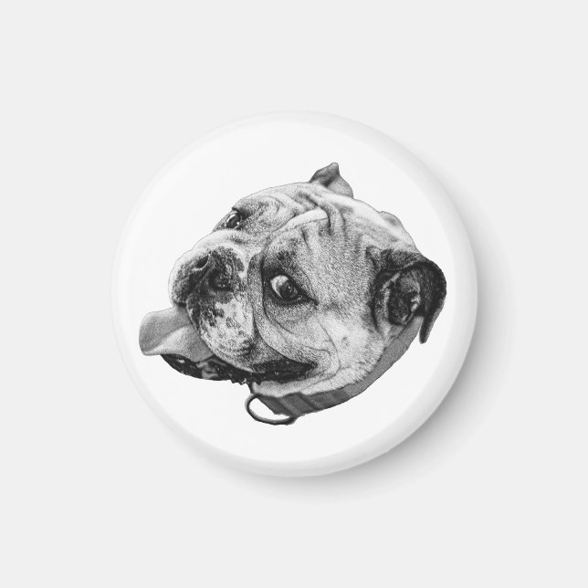 Gentle Bulldog Magnet (Front)