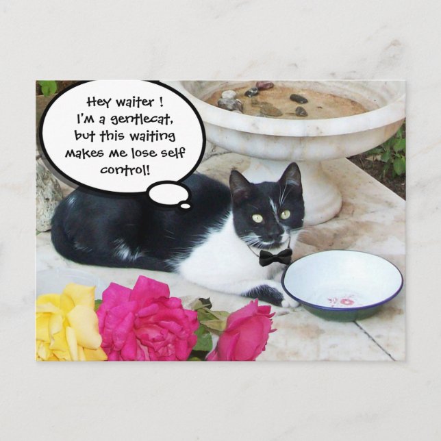 GENTLE CAT IN THE RESTAURANT Happy Birthday Postcard (Front)