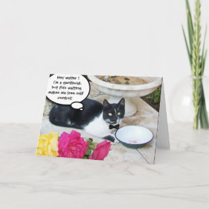 GENTLE CAT IN THE RESTAURANT Happy Birthdays Card