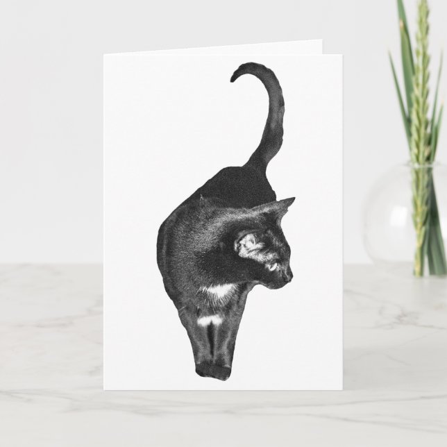 Gentle Cat Regards Card (Front)