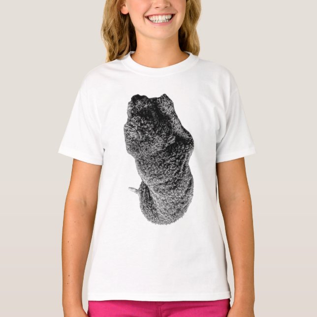 Gentle Curves of Loyalty T-Shirt (Front)