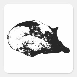 gentle doze circle square sticker