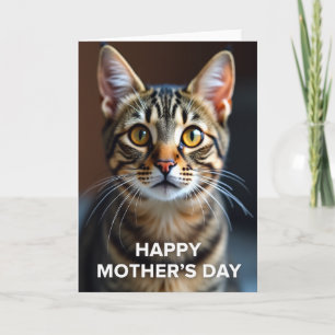 Gentle Feline Mothers Day Card