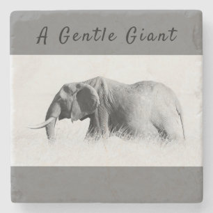 Gentle Giant Elephant high key photo with text Stone Coaster