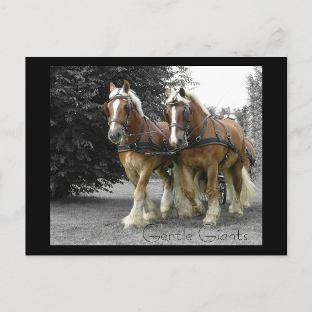 Gentle Giants postcard (Front)