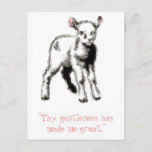 Gentle Lamb Postcard