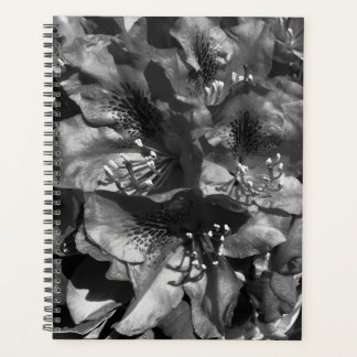 Gentle Lie Planner
