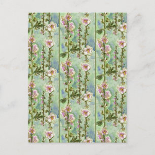Gentle Mallow Postcard