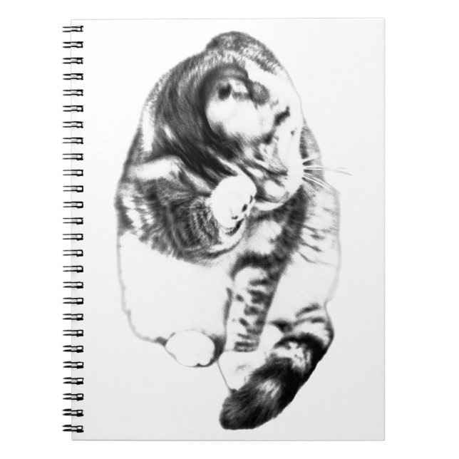 Gentle Notes Beside a Cat Notebook (Front)
