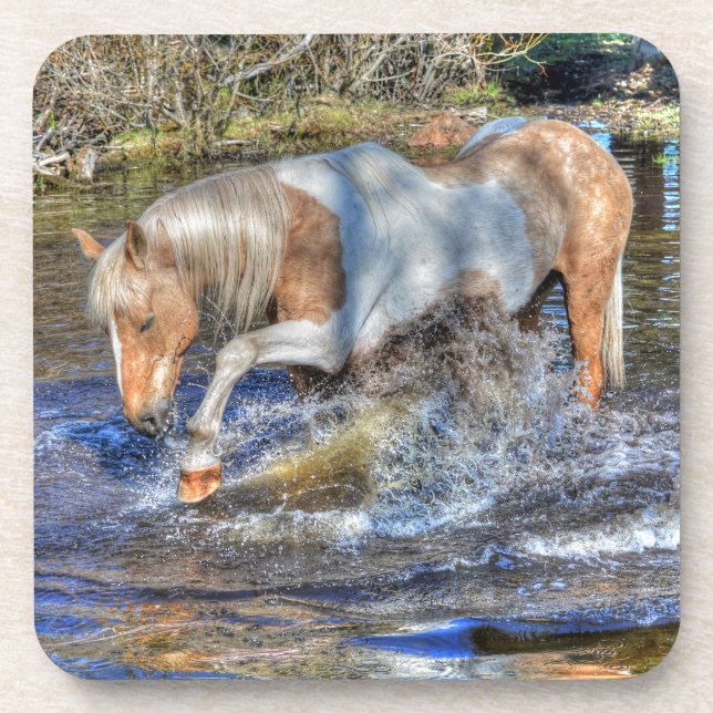 Gentle Palomino Pinto Stallion Playing in Pond Coaster (Front)