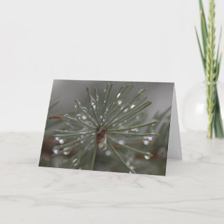 Gentle Rain Pine Card
