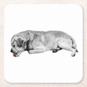 Gentle Sip, Tiny Spark Square Paper Coaster