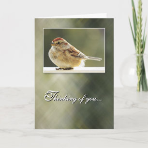 Gentle Sparrow - Thinking of You Card