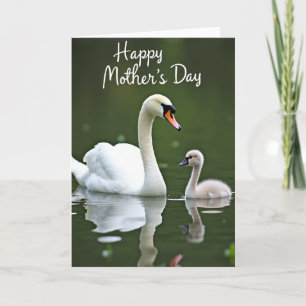 Gentle Swan Mothers Day Card