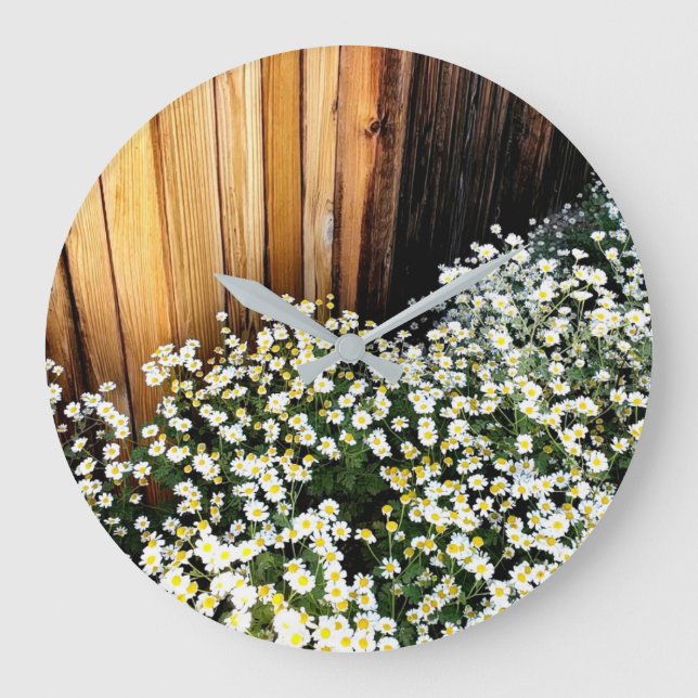 Gentle white flowers against weathered fence large clock (Front)
