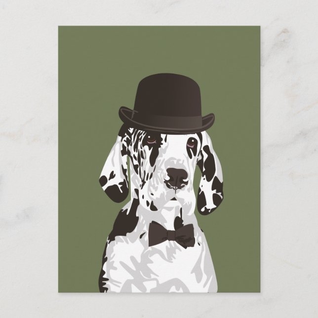 Gentleman Great Dane Dog for Dog Lovers Postcard (Front)