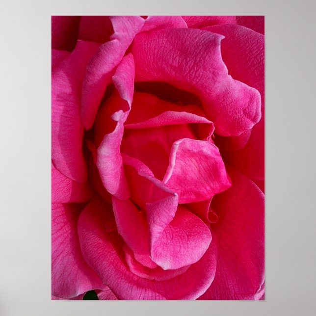 GENTLENESS POSTER (Front)