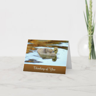 Gently Gosling - Thinking of You - Blank Card