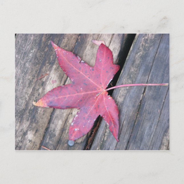 gently postcard (Front)