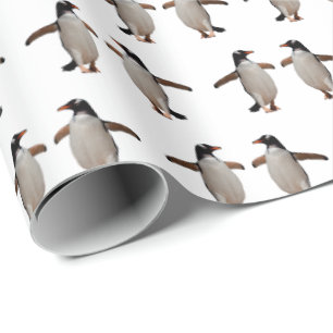 Gentoo Frenzy Wrapping Paper (choose colour)