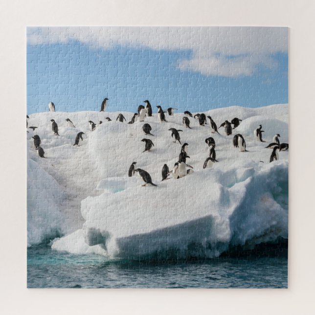 Gentoo Penguin Antarctica Iceberg Playtime Jigsaw Puzzle (Vertical)