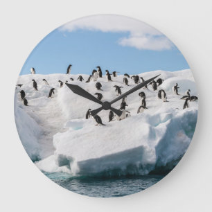 Gentoo Penguin Antarctica Iceberg Playtime Large Clock