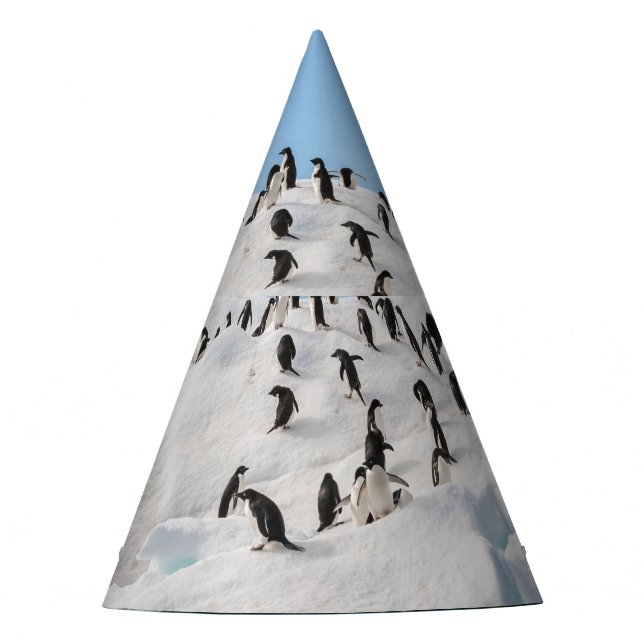 Gentoo Penguin Antarctica Iceberg Playtime Party Hat (Front)