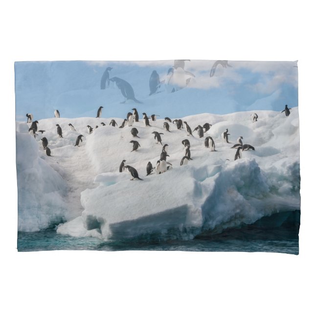 Gentoo Penguin Antarctica Iceberg Playtime Pillowcase (Front)