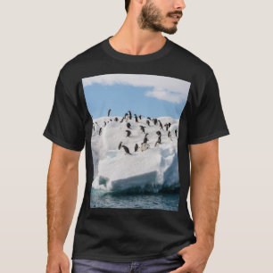 Gentoo Penguin Antarctica Iceberg Playtime T-Shirt