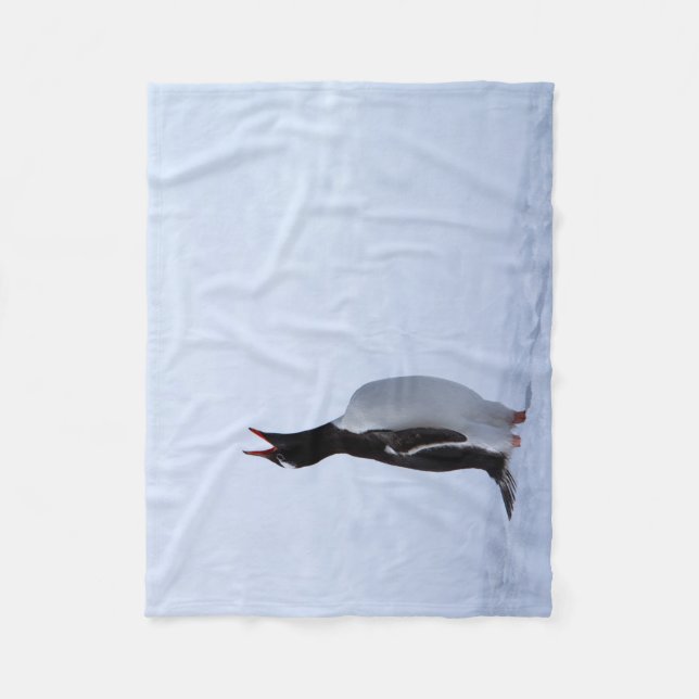 Gentoo penguin fleece blanket (Front)