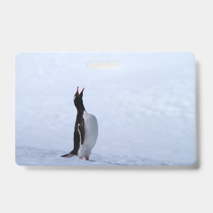 Gentoo penguin ID badge
